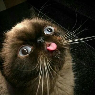 nroshak's avatar
