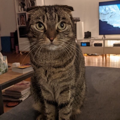 Scruffy87's avatar