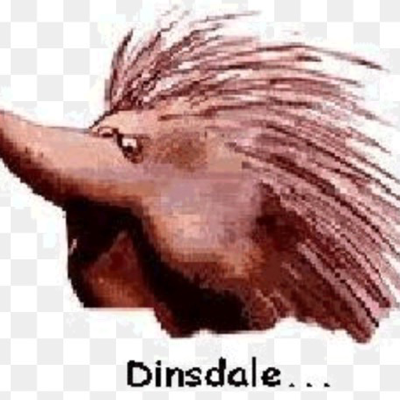 dinsdale's avatar