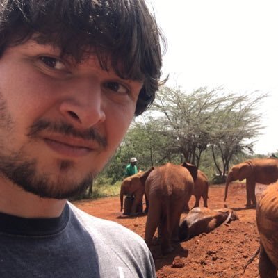 psforscher's avatar