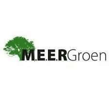 meergroen's avatar