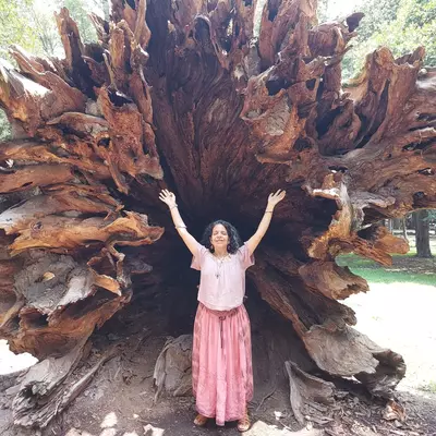 NiaRomero's avatar