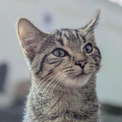 KateWulff's avatar