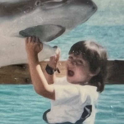 ci's avatar