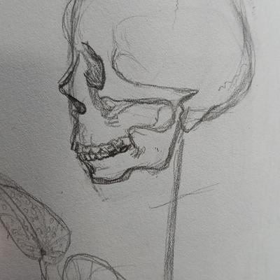 feefifohannah's avatar