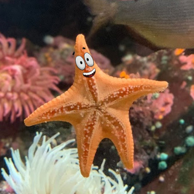 brendan's avatar