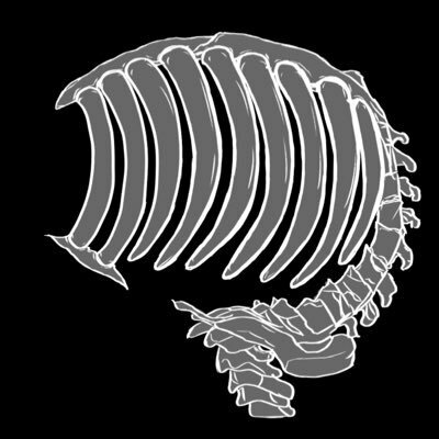 drlongissimus's avatar
