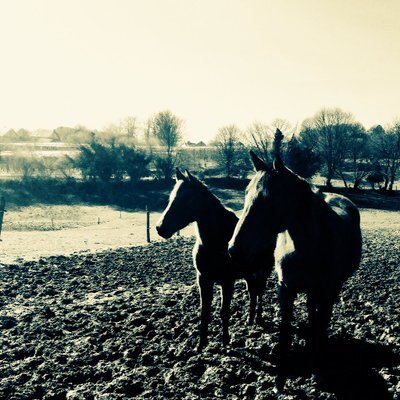 chloepathe's avatar
