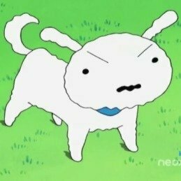 jl_nevado's avatar