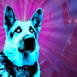 glomag's avatar