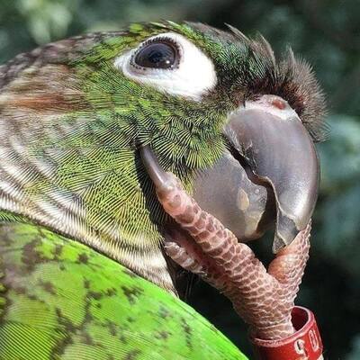 kprotty's avatar