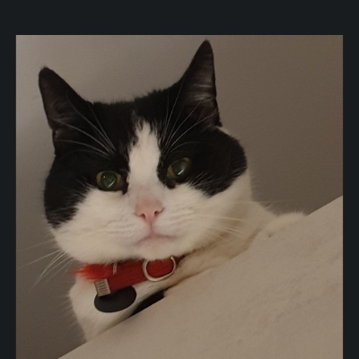 valkie's avatar
