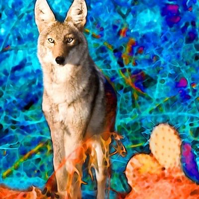 desertwillow1's avatar