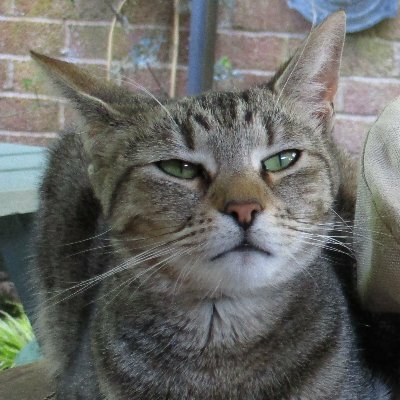 CleopatraandOddie's avatar