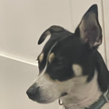 Ben_m_berry's avatar