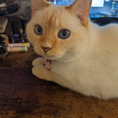 curtiskj's avatar