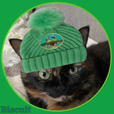 Biscuitmeow's avatar