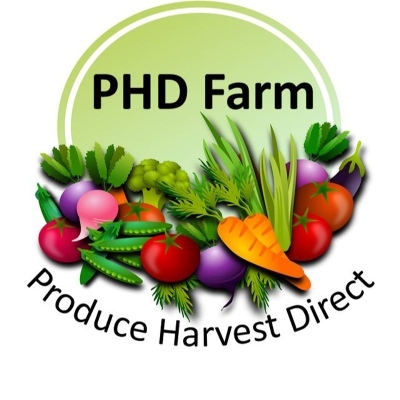 PHD_FARM's avatar