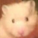 tileo's avatar