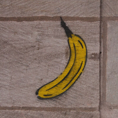banananose's avatar