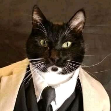 awwcats's avatar