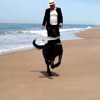 BertVester's avatar