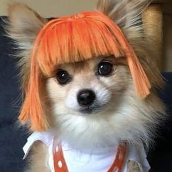 BigotsShitMe's avatar