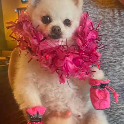 cynthia's avatar