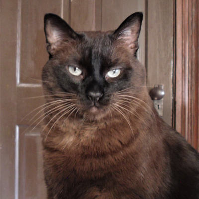 Truman's avatar