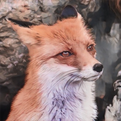 noir's avatar