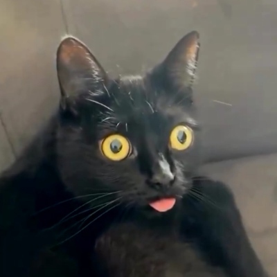 hctr's avatar