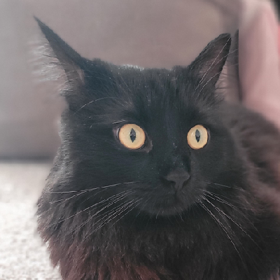 siriusblack's avatar