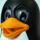 francois's avatar