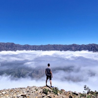 josesj's avatar