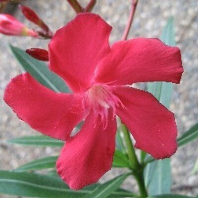 truthonahill's avatar