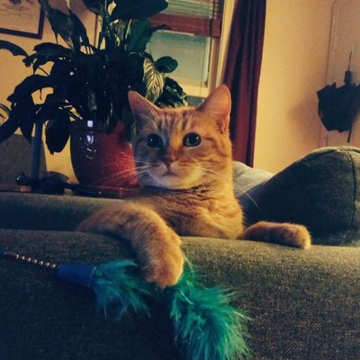 jw_lockhart's avatar