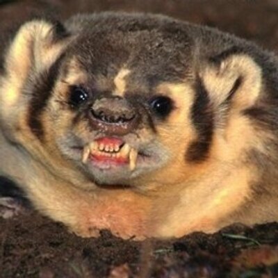 cueball's avatar