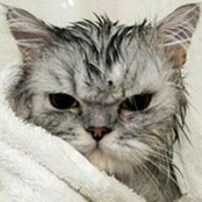 MarvClowder's avatar
