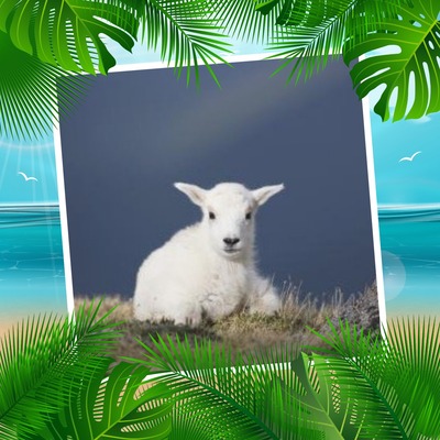 fizzily's avatar