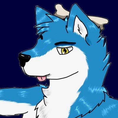 wachhund's avatar