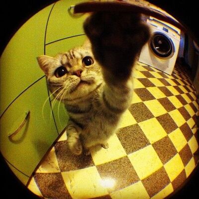 agatabrioches's avatar
