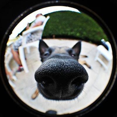 mimitos's avatar