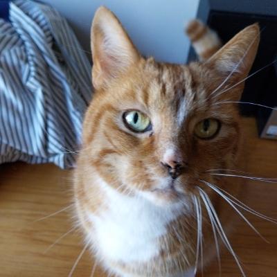 Jonas's avatar