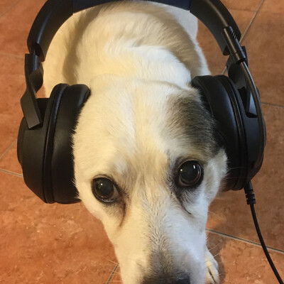 djdeath's avatar