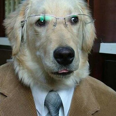 ben's avatar
