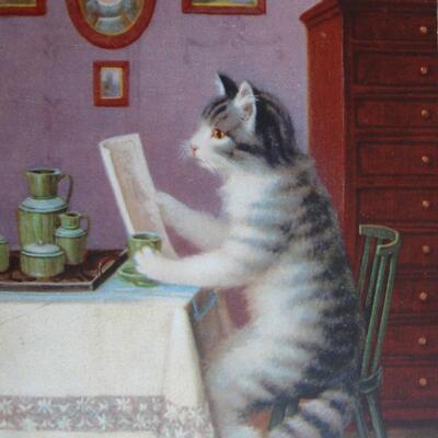 mor's avatar