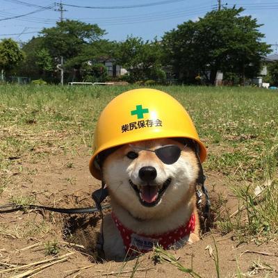 andrewzah's avatar