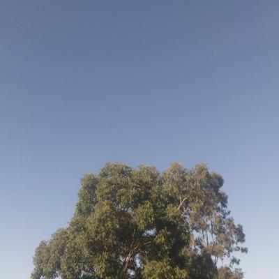 hrv3y's avatar