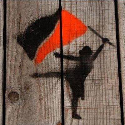 anarcompiler_'s avatar