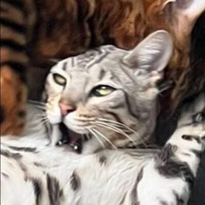 prosperoh's avatar